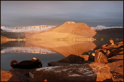 Icelandic landscape with reflections in a lake